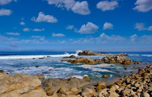 Coast of Pacific Grove California